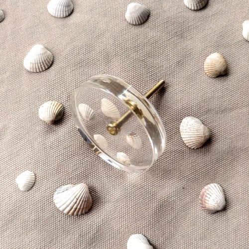 drawer pulls sea style with seashells 3