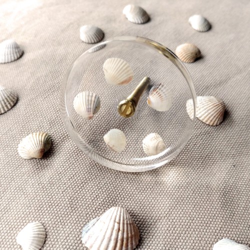 knobs with seashells 5