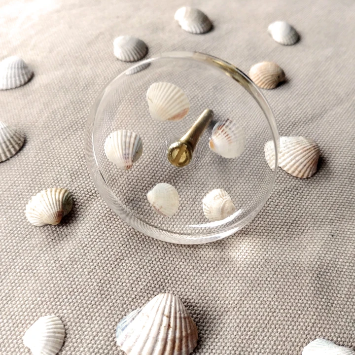 knobs with seashells 5