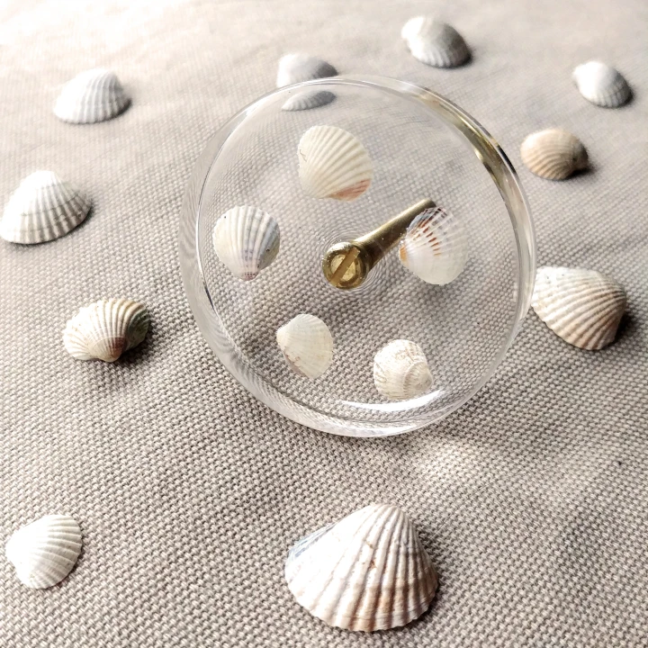 bathroom handles with seashells 2