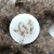 white lnobs grass 1