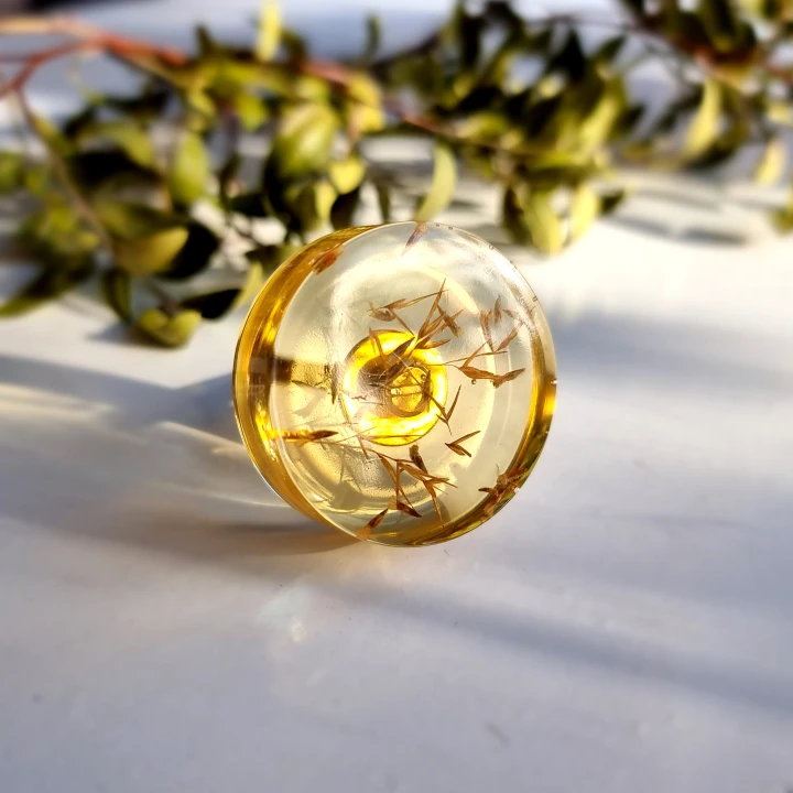 honey amber pulls with grass 50mm kwadrat 1.jpg