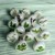 kitchen cabinets knob herbs.jpg