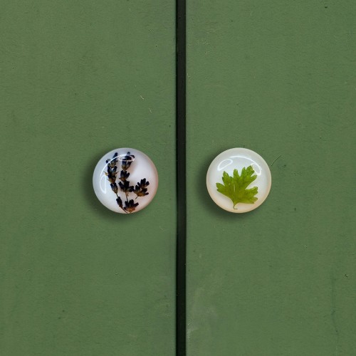 herbal botanical knobs kitchen.jpg