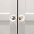 seashells knobs 5.jpg
